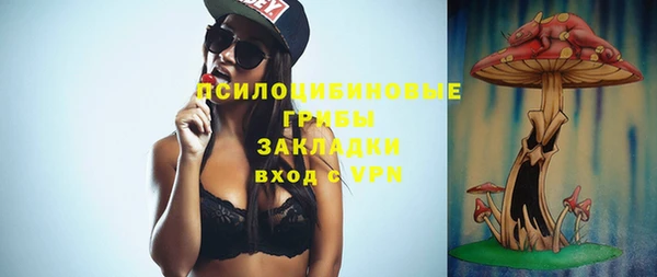 ALPHA PVP Горнозаводск
