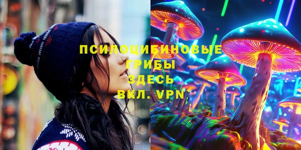 ALPHA PVP Горнозаводск
